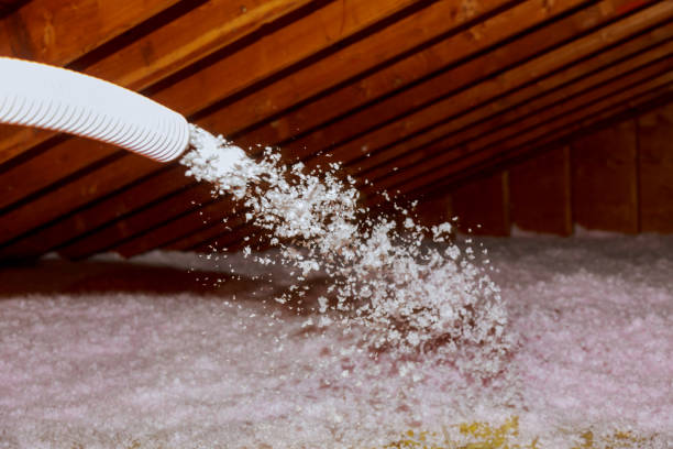 Best Specialty Insulation in Bonnie Brae, IL