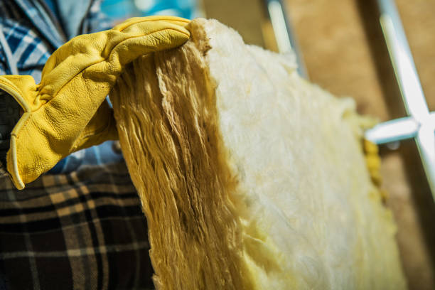Best Insulation Materials and Products in Bonnie Brae, IL