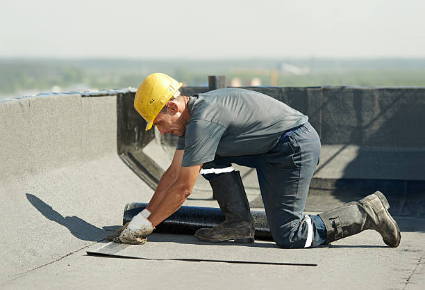 Best Types of Insulation in Bonnie Brae, IL